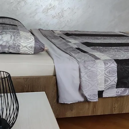 Apartment Stan Na Dan Centar *