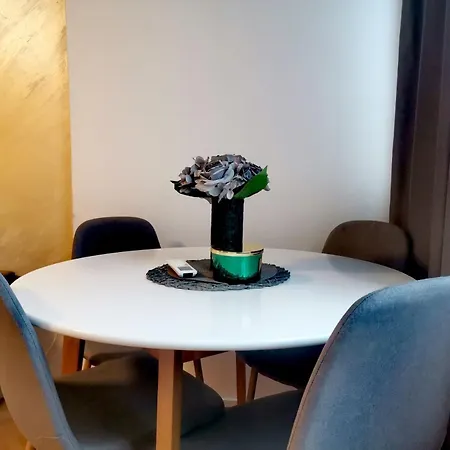 Stan Na Dan Centar Apartment